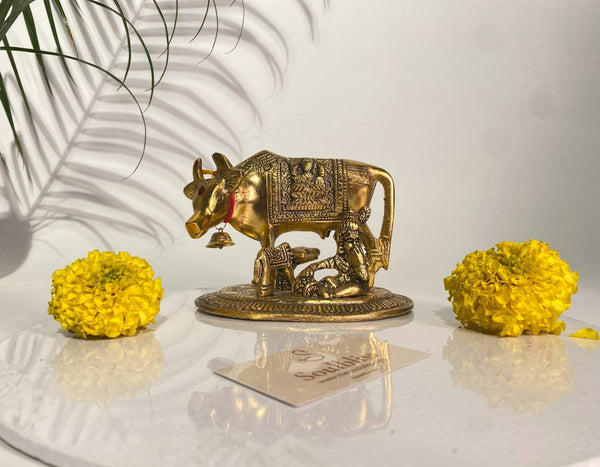 Vastu remedies and Feng Shui