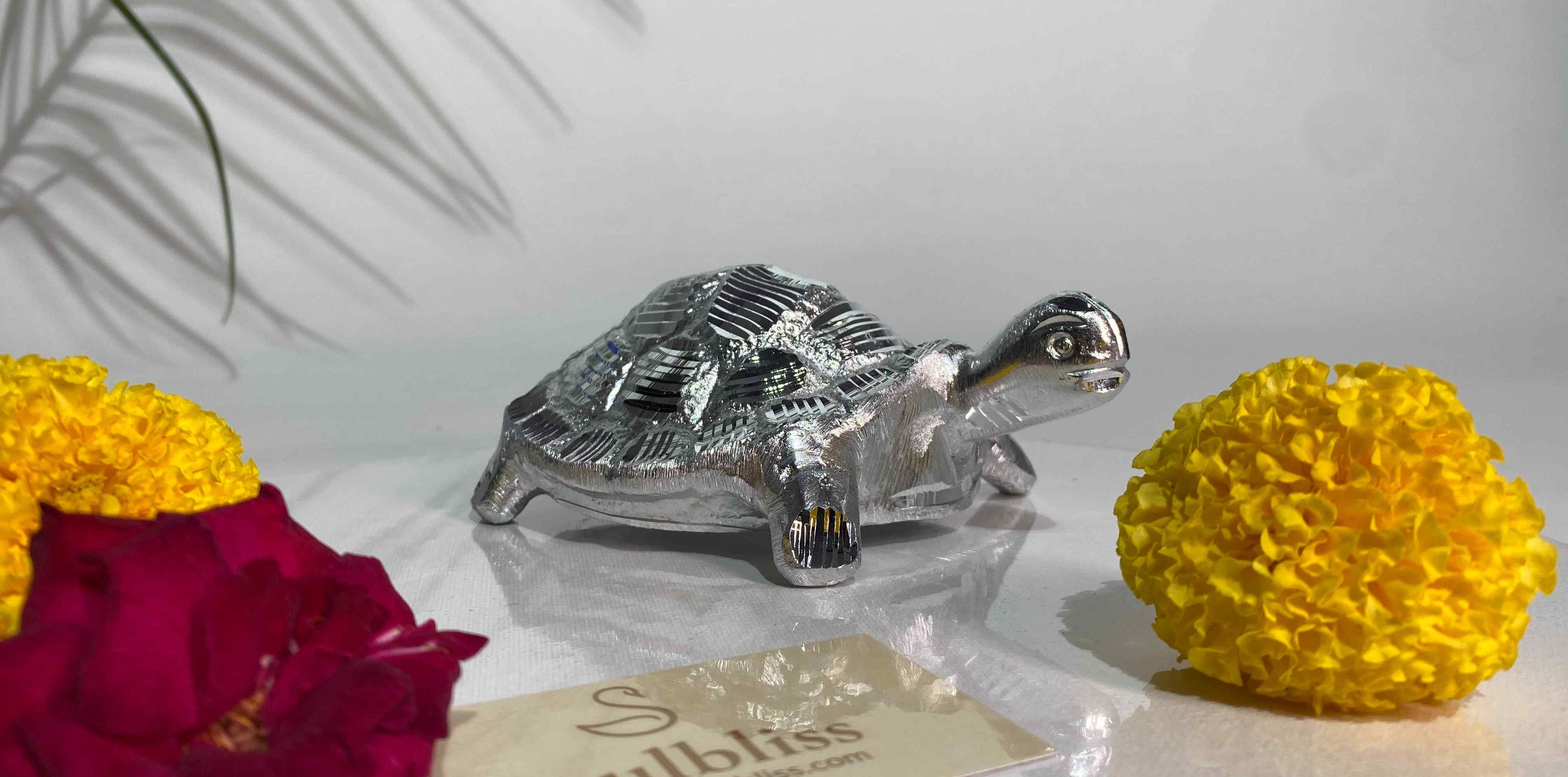 Silver turtle 
