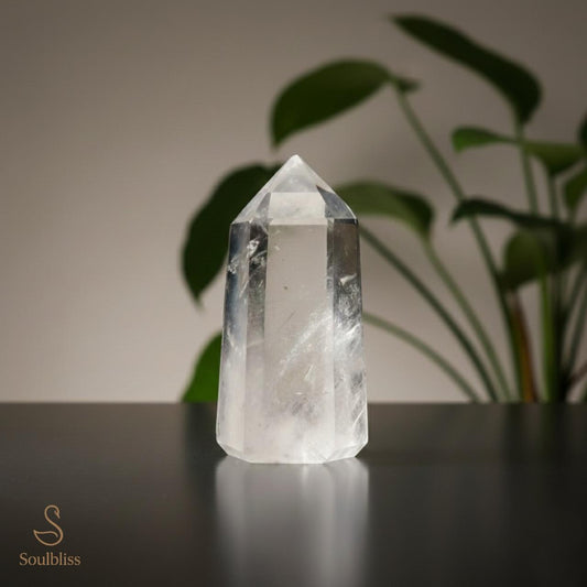 Clear crystal tower on a reflective surface with a plant in the background, branded 'Soulbliss'.